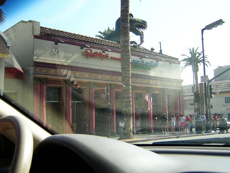Ripley's Believe It or Not