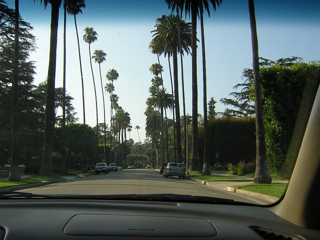 Typical Beverly Hills boulevard