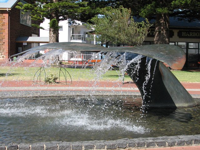 whale fluke fountain