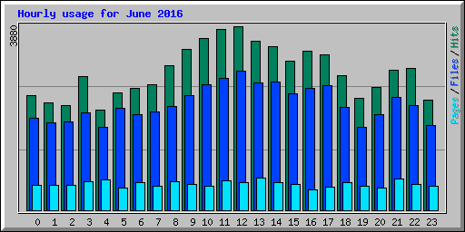 Hourly usage for June 2016